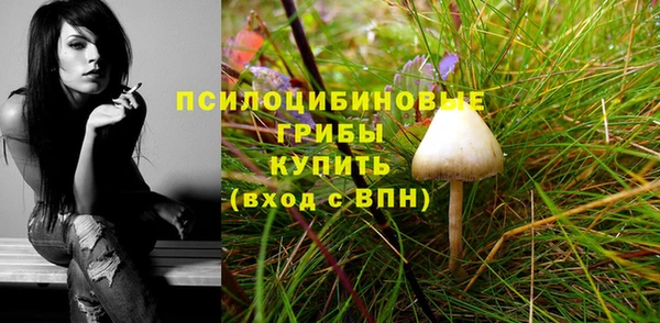 наркотики Алексеевка