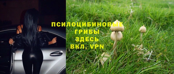mix Алексин