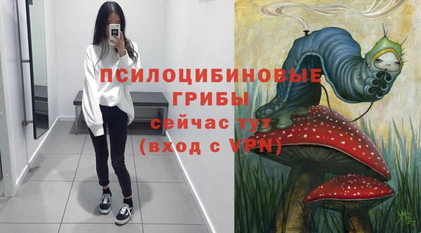 эйфоретик Алзамай