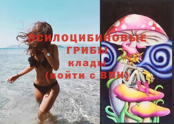 эйфоретик Алзамай