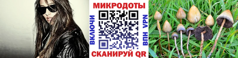 MEGA Юрьев-Польский Галлюциногенные грибы GOLDEN TEACHER
